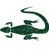 icon for Herpetology section
